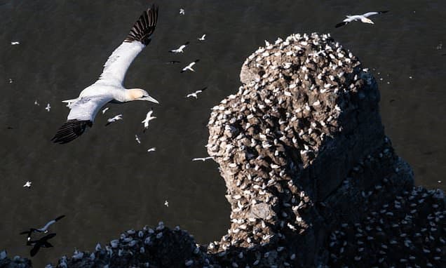 Nature agency chief: Vandalism 'crosses the line'