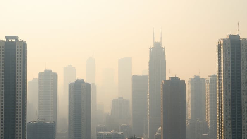 Pollution Crackdown: Navi Mumbai Halts 19 Construction Sites