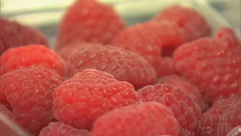 Parasite Outbreak Sparks Food Safety Fears in Raleigh