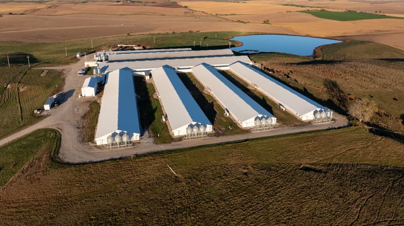 Teen's Farm Death: Unanswered Questions Haunt Family