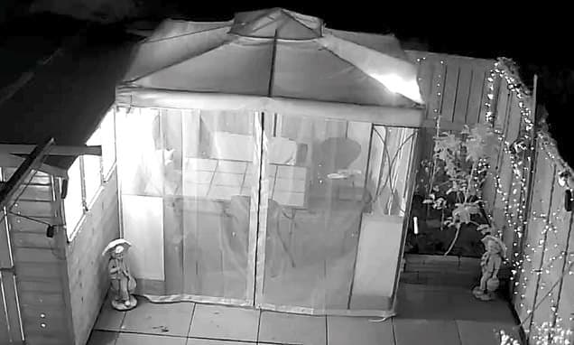 Veteran's Gazebo Torched by Jealous Neighbor