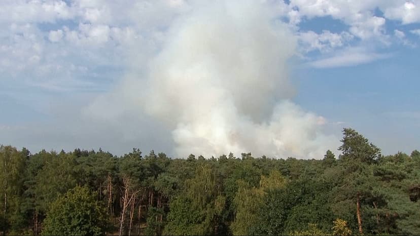 Netherlands Forest Fire Rages: 100 Hectares Engulfed