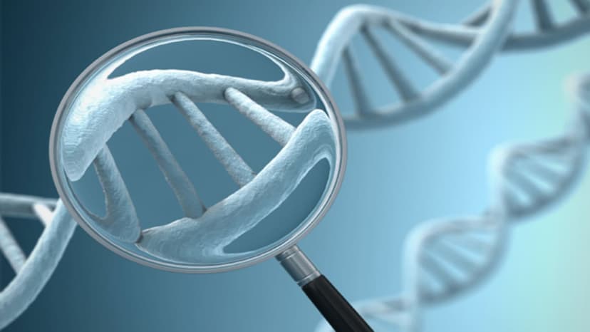 Rett Syndrome Drug Sparks 132% Upside Potential: JPMorgan