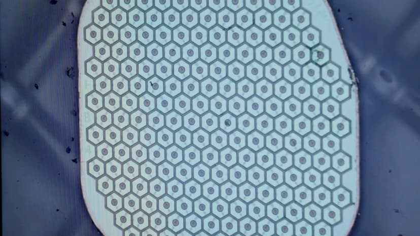 Mind Meets Machine: New Brain Interface Trials Begin