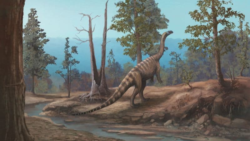 Lake Kariba Yields Ancient Dinosaur Discovery