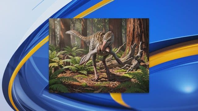 New Dinosaur Species Unearthed in New Mexico