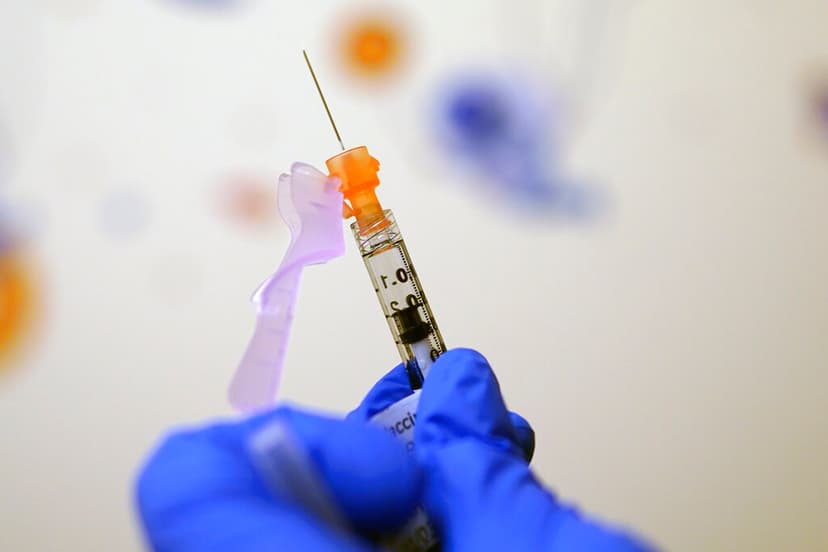 New Flu Strain Threatens Holiday Travel Immunity