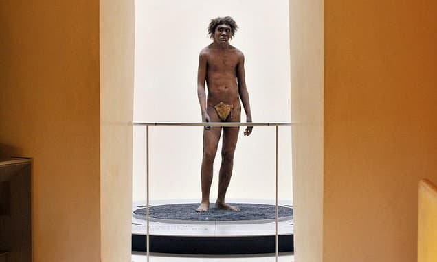 Africa Birthplace of Humanity: New Fossils Rewrite History