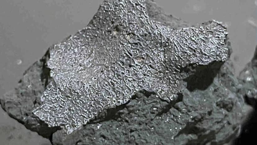 NJ Meteorite Held Life's Building Blocks
