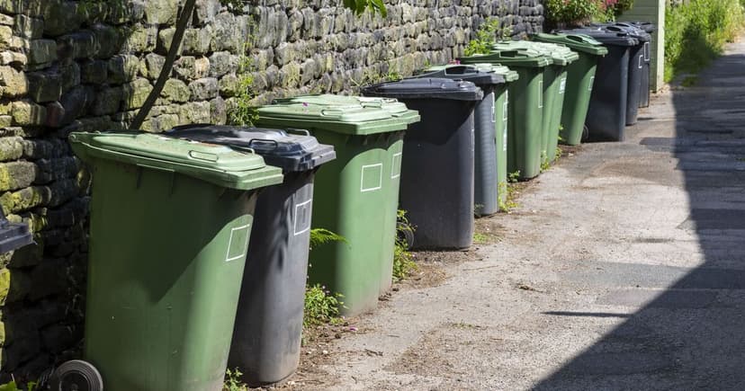 New Bin Rules: What You Can & Can't Recycle
