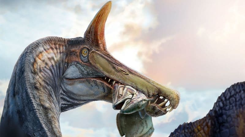 Dinosaur's 'Elvis Quiff' Crest Shocks Paleontologists