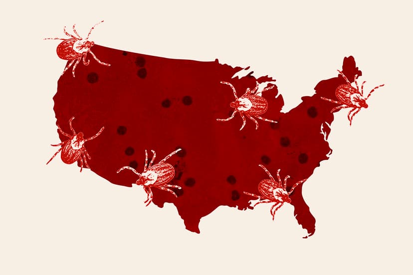 Tiny Ticks Unleash New Hidden Dangers This Summer