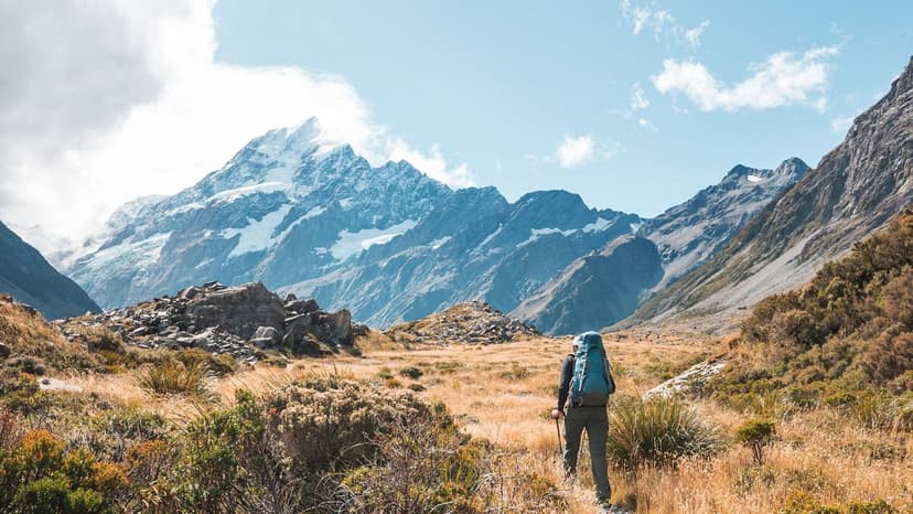 NZ Tourism Reopens: A New Era of Green Travel