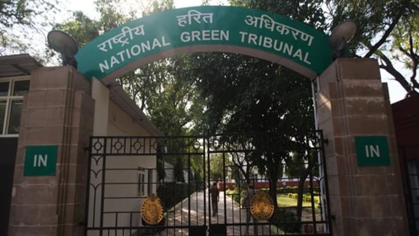 NGT Faces Conflict of Interest: Former Officials Judge Own Decisions