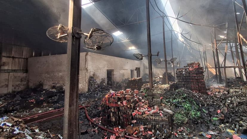 Activists Warned NGT of Wetland Encroachment Before Fire