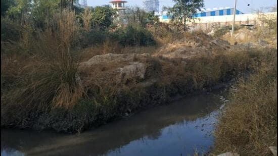 NGT Orders Probe into Pollution Allegations