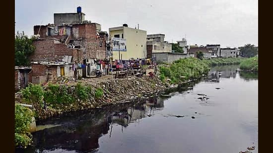 NGT Orders Probe into Buddha Nullah Encroachments