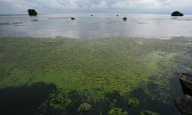 NI Water's Pollute License to End