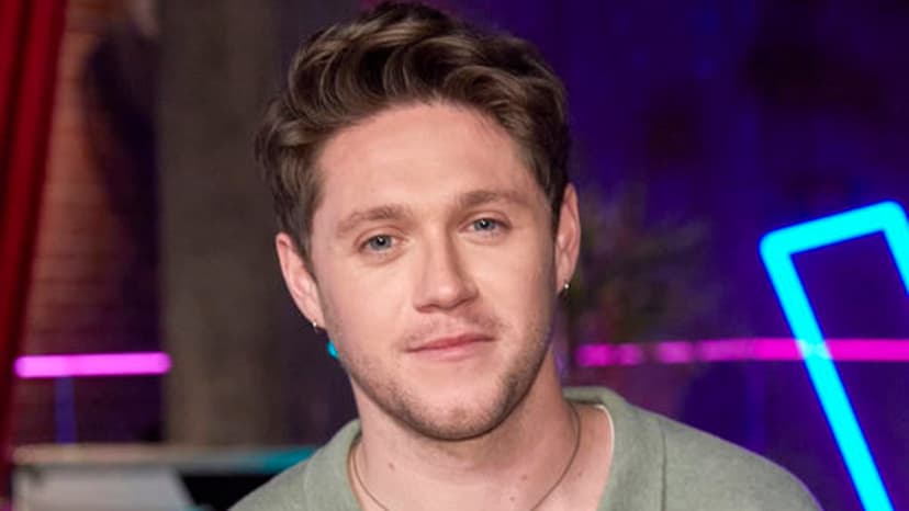 Niall Horan fears hip replacement due to 'f ext-up' joints