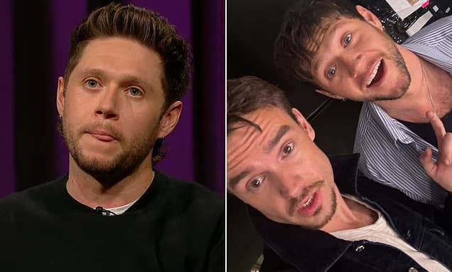 Niall Horan's Grief: 'Should I Have Done More?'