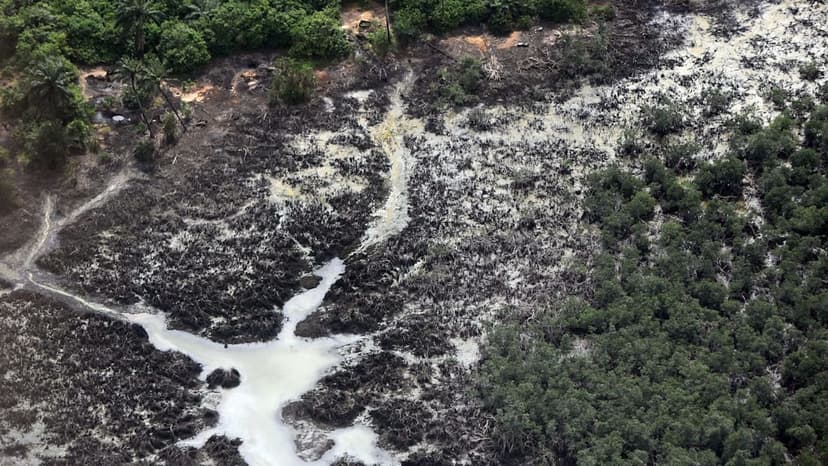 Bayelsa Creek Suffers Oil Spill, Livelihoods Ruined