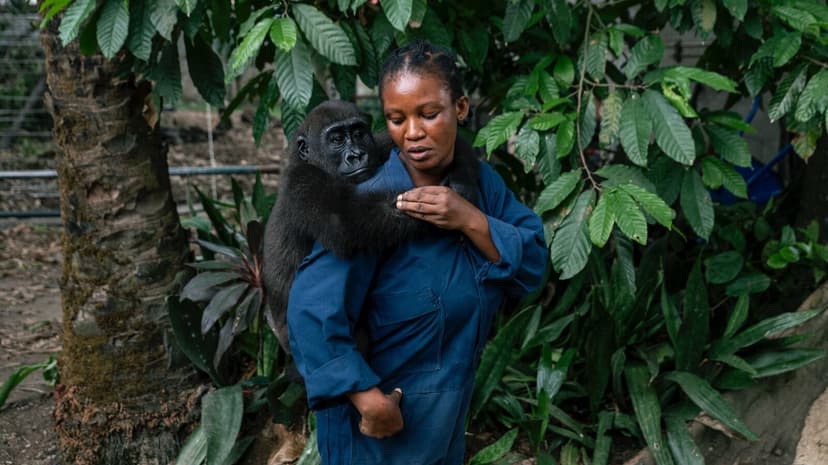 Nigeria's $20 Billion Wildlife Black Market Exposed