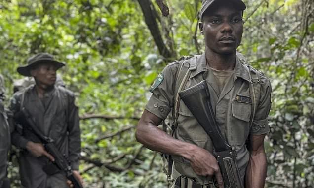 Poachers Turned Protectors: Okomu Forest's New Guard