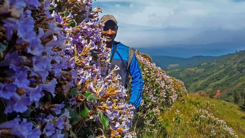 Nilgiris: Rewilding Success Returns Wildlife to Plantations