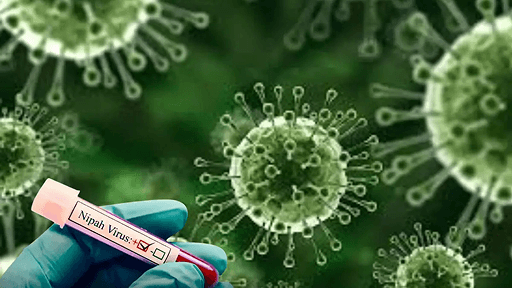 Bengal's Nipah Fight: Doctors Recall 2001 Deadly Outbreak