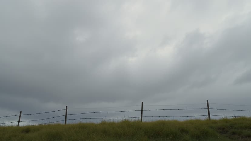 Northern Ireland's Hidden Gems: Farms, Books & Soundscapes