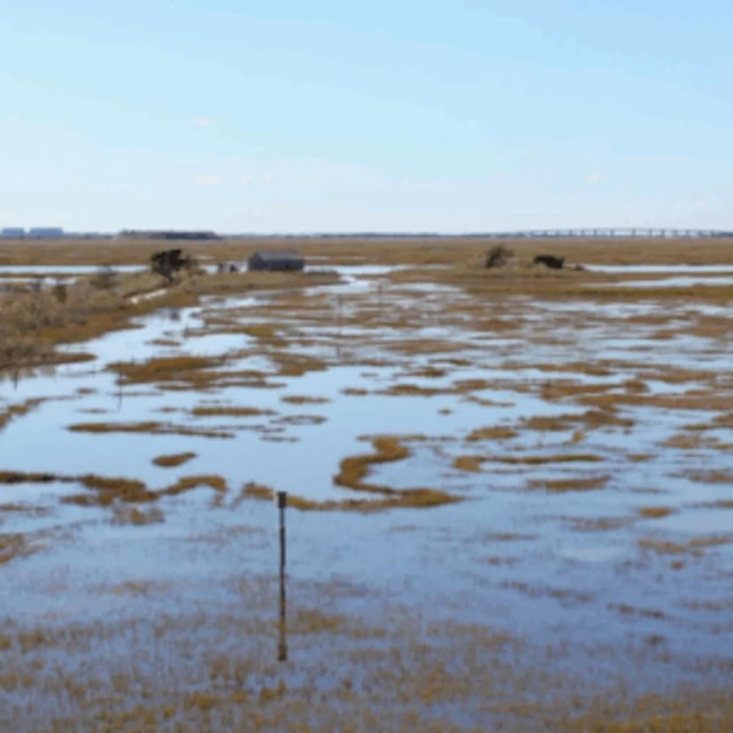 NJ Funds $11M for Nature to Fight Climate Change