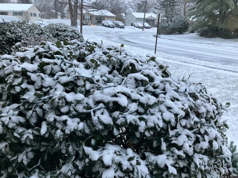 NJ Icy Threat: Black Ice Grips State Post-Storm