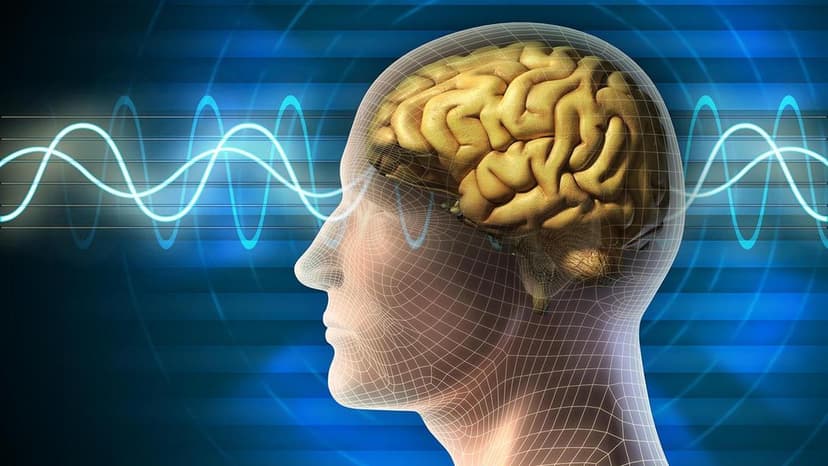 Light Controls Brains: Nobel for Optogenetics