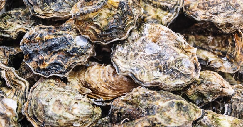 Norovirus Alert: Shellfish Recalled in 9 States