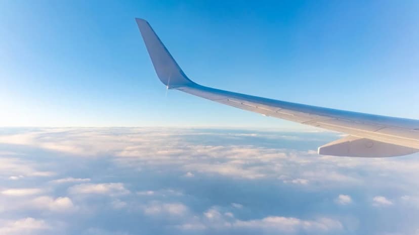Norse Atlantic Airways Slashes US Routes Amid Travel Slump