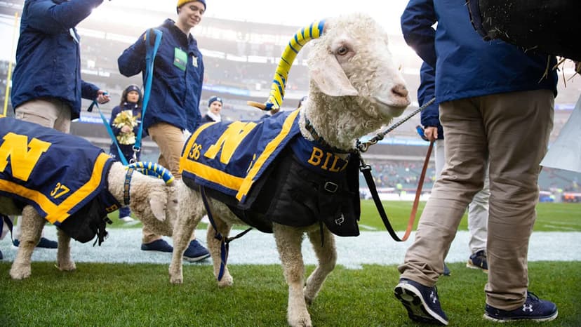 Irish Face Resilient Navy Despite Midshipmen's Woes