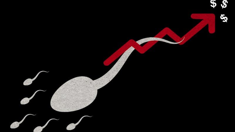 NSW Sperm Donor Rules Spark Crisis