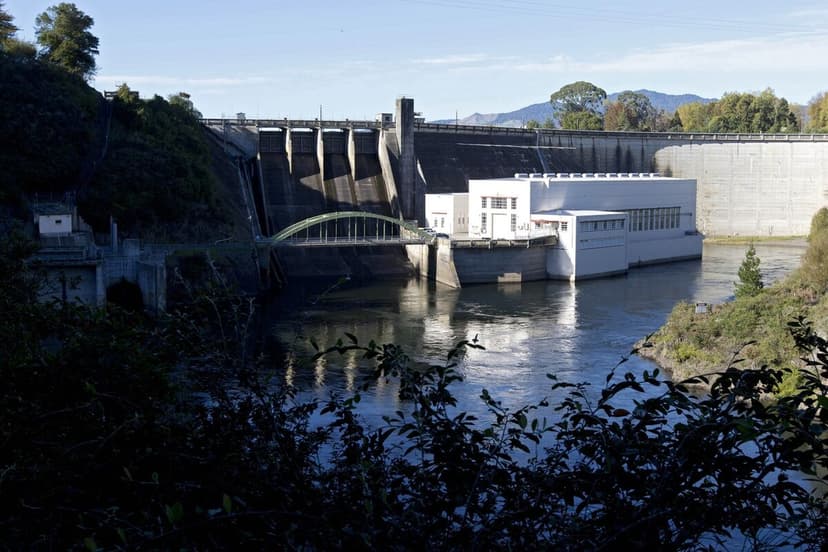 Nvidia Shares Tumble on AI Bubble Fears