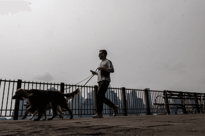 NY Heat Wave Meets Wildfire Smoke