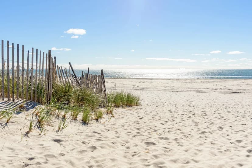 NY Beaches Closed: Algae & Bacteria Danger!