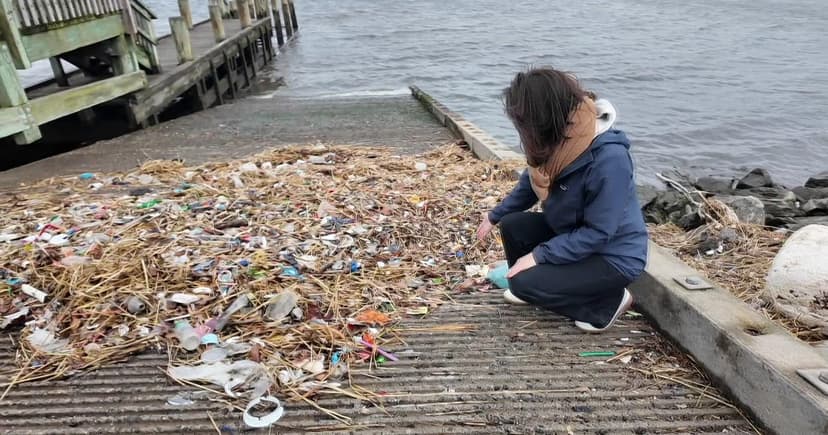 NYC Creek Cleanup Sparks Lawsuit Over Chlorine Dangers