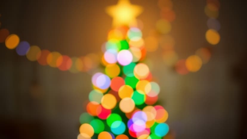 Holiday Lights Dazzle Lower Hudson Valley & NYC