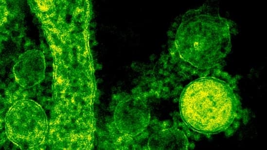 NYC Legionnaires' Outbreak Claims Third Life