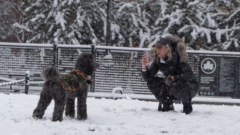 NYC Braces for First Snow: Rain or Mix Expected