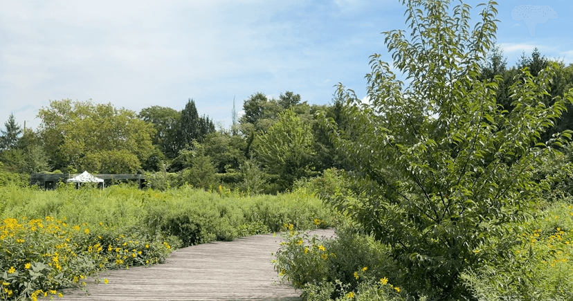 NYC's First International Botanic Garden Blooms by BQE