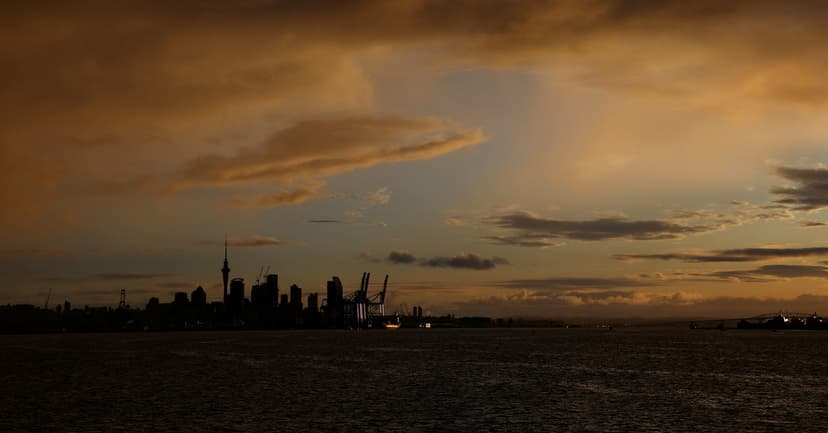 NZ Business Confidence Soars to Record High