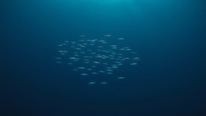 Ocean Warming Devastates Fish: 7.2% Drop Per 0.1C!