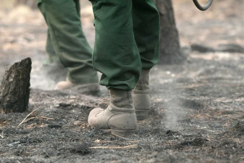 300,000 Acres Burn as Wildfires Sweep Panhandles