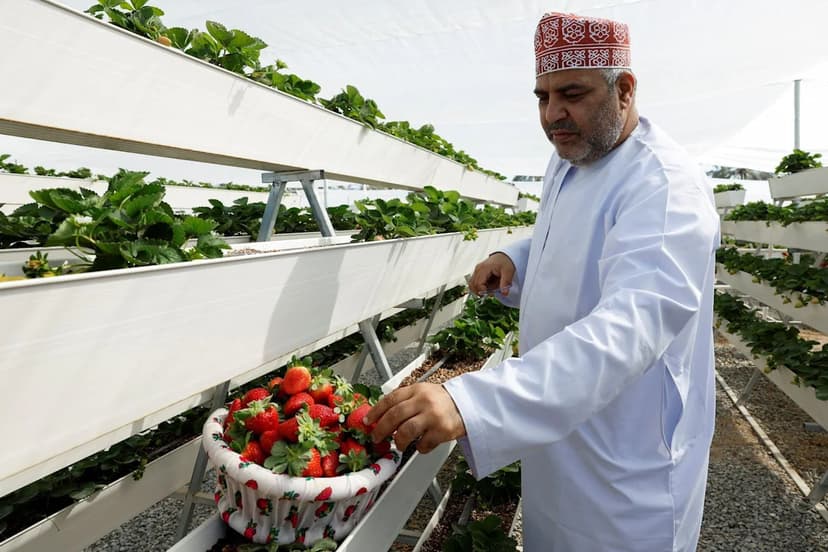 Oman Invests $4.2B in Agriculture for Food Security