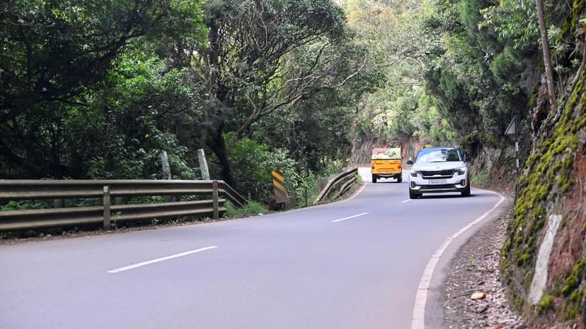 Wildlife Road Toll Rises Near Ooty